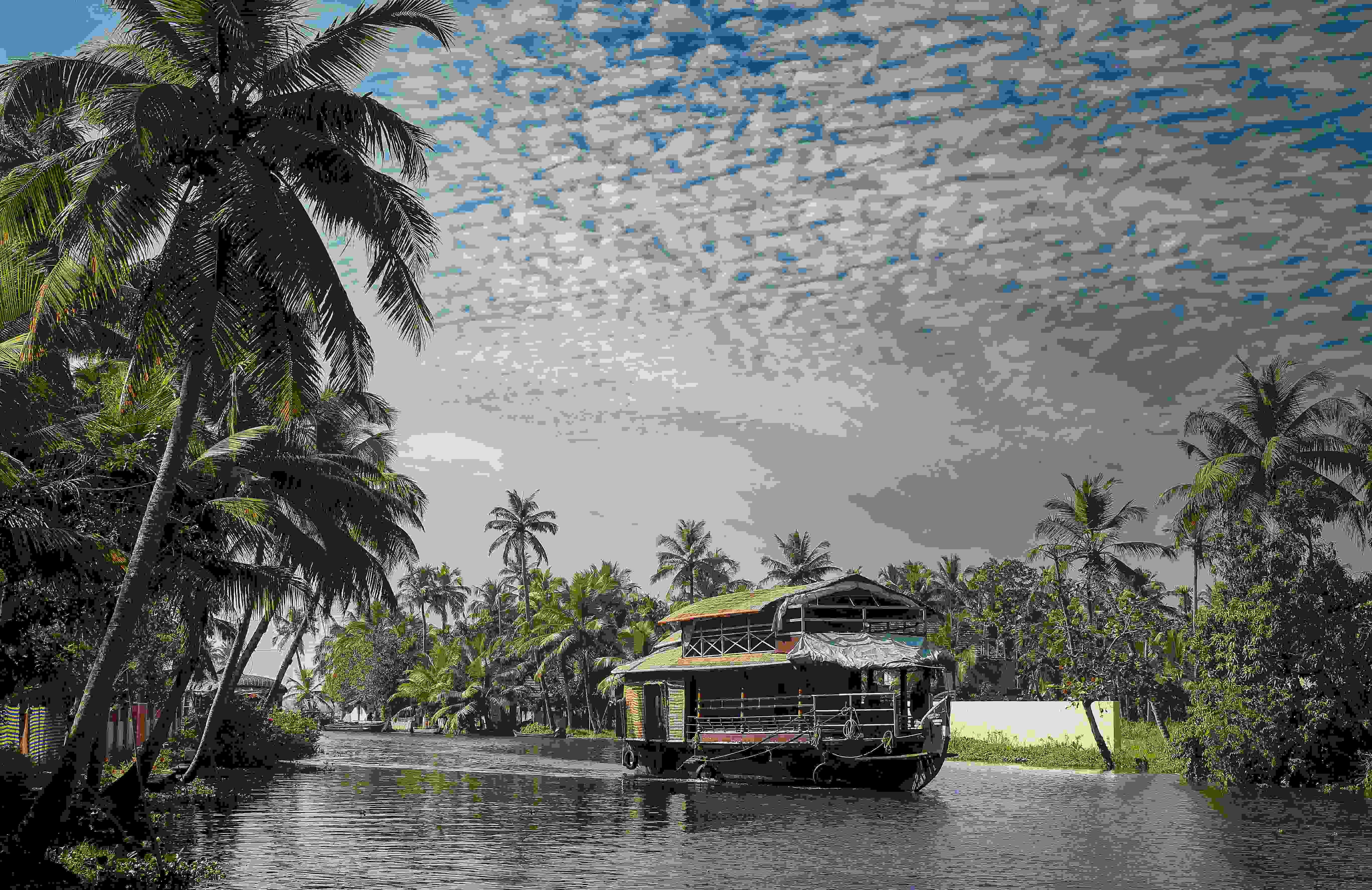 Kerala Houseboat and Jungle Safari